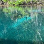 Small Group Silver Springs State Park Day Tour from Orlando - Who Would Love This Tour?
