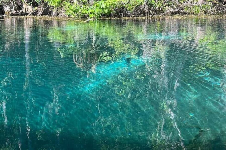 Small Group Silver Springs State Park Day Tour from Orlando - Who Would Love This Tour?