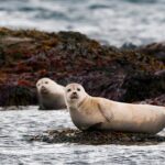 Small-Group Snaefellsnes National Park Day Trip from Reykjavik - The Value for Your Money
