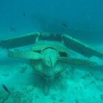 Small group snorkeling (5 people max): wrecks & tropical fishes at 1:00pm - The Sum Up