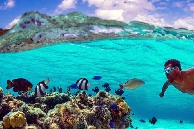 Small group snorkeling (5 people max): wrecks & tropical fishes at 10:30am - Practical Details: Transportation, Duration, and Group Size