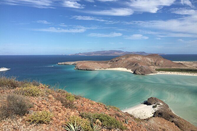 Small Group Snorkeling and Swim with Whale Sharks & Sea Lions in La Paz - FAQ