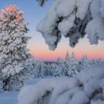 Small-Group Snowshoeing Adventure In Lapland - What Sets This Tour Apart?