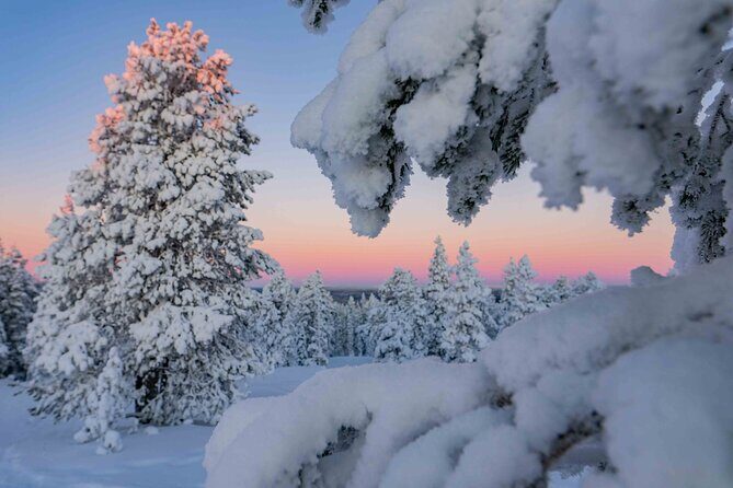 Small-Group Snowshoeing Adventure In Lapland - What Sets This Tour Apart?
