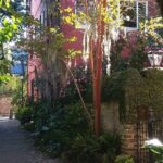 Small-Group Tour: Charleston Old Walled City Historical Walking Tour - What Makes This Tour Stand Out?