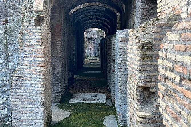 Small Group Tour Colosseum Underground Up To 6 People - Why This Tour Stands Out