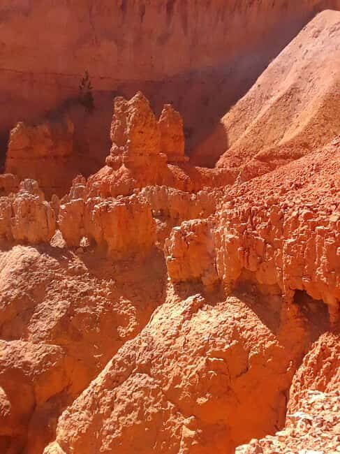 Small Group Tour Zion & Bryce Canyon National from Las Vegas - In-Depth Review: Exploring the Utah Wonders from Las Vegas