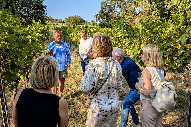 Small-group Vienna Wine Tour - The Itinerary in Detail: What to Expect
