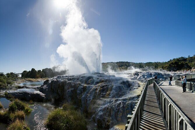 Small Group Waitomo and Rotorua including Te Puia Tour - Final Thoughts: Who Will Love This Tour?