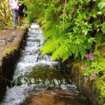 Small Group Walks Rabaçal 25 Fontes - Location and Highlights