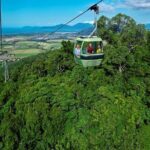 Small Group Waterfall Wetlands+ Skyrail All Inclusive from Cairns - Exploring Cairns’ Natural and Cultural Gems in One Day