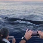 Small-Group Whale Watching Adventure - Frequently Asked Questions