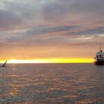 Small-group Whale Watching in the Midnight Sun from Reykjavík - Why This Tour Stands Out
