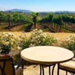 Small Group Wine Tour to Temecula from Los Angeles - What Makes This Tour Stand Out?