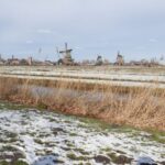 Small Group Zaanse Schans & Volendam Tour w/ Hotel Pick up - A Closer Look at the Tour Experience
