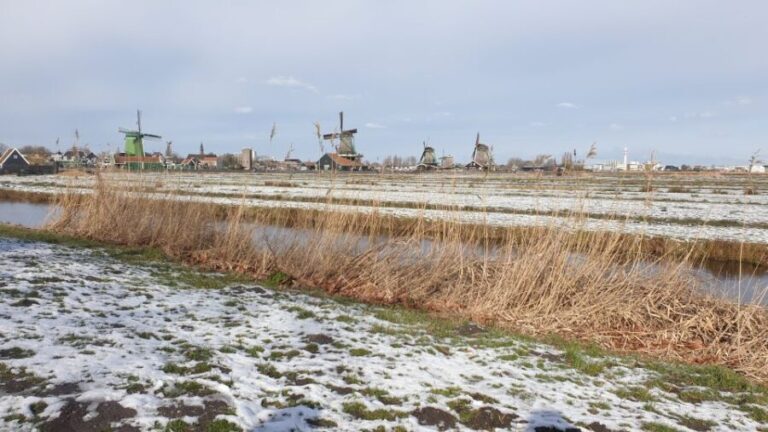 Small Group Zaanse Schans & Volendam Tour w/ Hotel Pick up - A Closer Look at the Tour Experience
