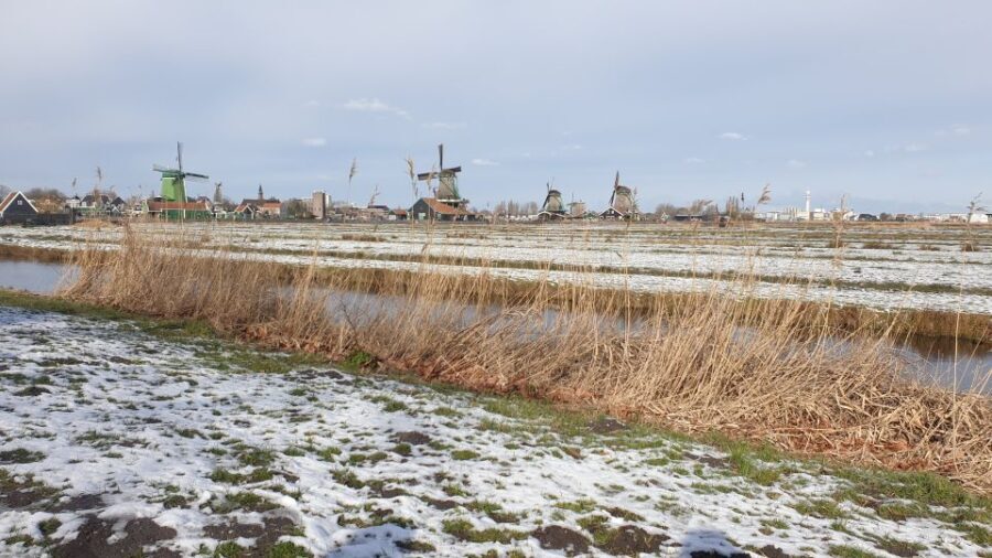 Small Group Zaanse Schans & Volendam Tour w/ Hotel Pick up - A Closer Look at the Tour Experience