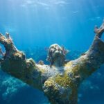 Small - Guided Shallow 2 Tank Dive Experience in Key Largo ALL GEAR INCLUDED - Detailed Review of the Key Largo Guided 2 Tank Dive