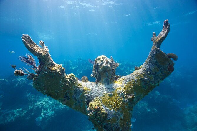 Small - Guided Shallow 2 Tank Dive Experience in Key Largo ALL GEAR INCLUDED - Detailed Review of the Key Largo Guided 2 Tank Dive