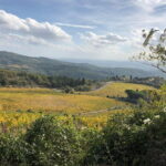 Small Intimate Group: San Gimignano - Two Wine Tours with lunch - Frequently Asked Questions (FAQs)
