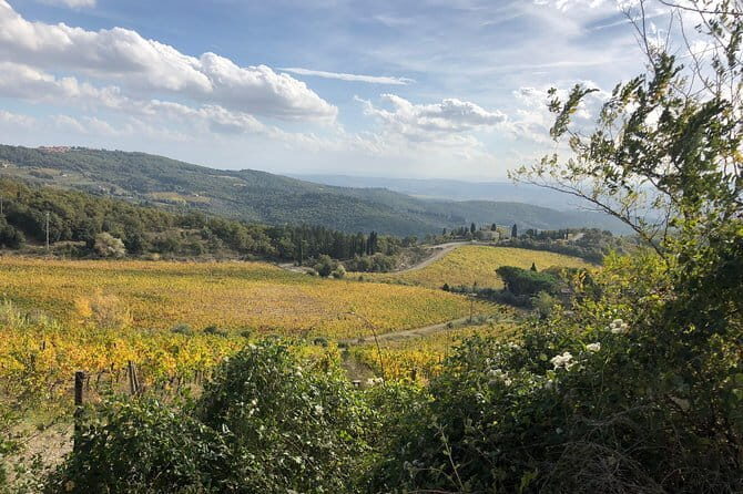 Small Intimate Group: San Gimignano - Two Wine Tours with lunch - Frequently Asked Questions (FAQs)