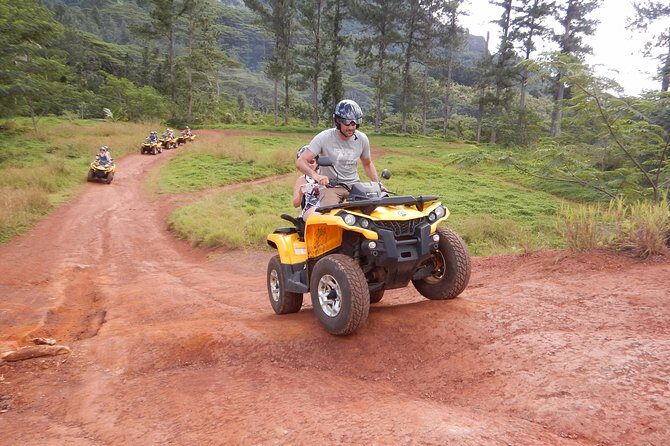 Small Quad Tour 2h30 Quad excursion in Moorea (single or two-seater) - The Sum Up