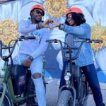 Smart Tour: Dallas Mural E-Bike Tour - A Detailed Look at the Dallas Mural E-Bike Tour