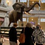 Smithsonian National Museum of Natural History Guided Tour - In-Depth Look at the Smithsonian National Museum of Natural History Guided Tour