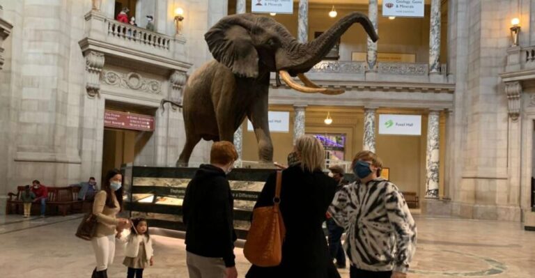 Smithsonian National Museum of Natural History Guided Tour - In-Depth Look at the Smithsonian National Museum of Natural History Guided Tour