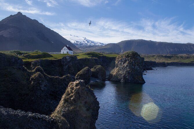 Snæfellsnes in Spanish with lunch on a farm Minibus - The Sum Up
