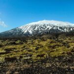 Snæfellsnes Peninsula - Full Day Private Tour from Reykjavik - Who Will Love This Tour?