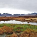 Snaefellsnes Peninsula Private Day Tour - up to 9 passengers - Frequently Asked Questions
