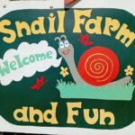 Snail and olive farm tour with table olives & homemade sweet - Exploring the Snail and Olive Farm Tour in Detail