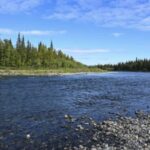Snake River FullDay Group Fishing Trip - What to Expect from a Day on the Snake River