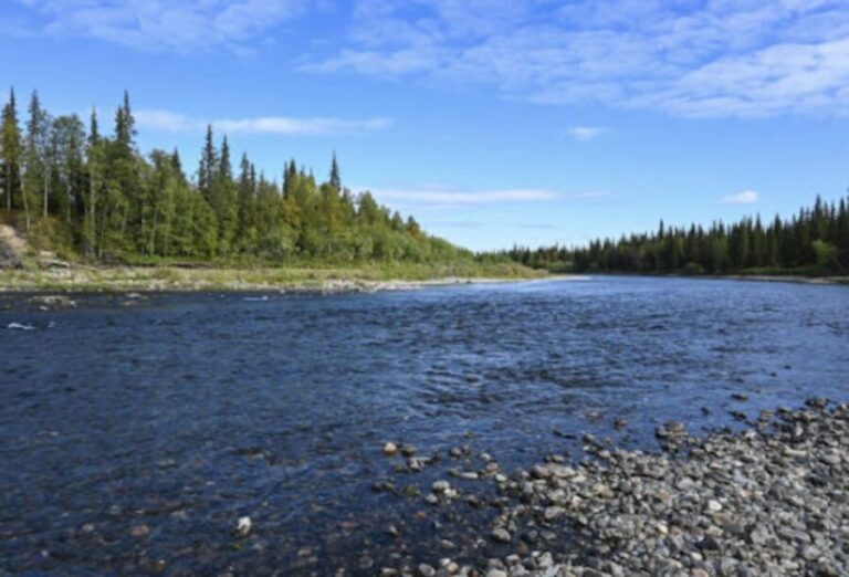 Snake River FullDay Group Fishing Trip - What to Expect from a Day on the Snake River