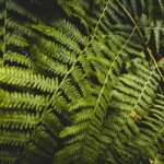 Snoqualmie, Twin Falls & Ancient Forest (Transport Included) - Who Will Love This Tour?