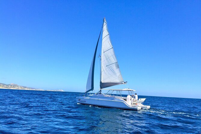 Snorkel Adventure through the Sea of Cortez - Who Should Consider This Tour?