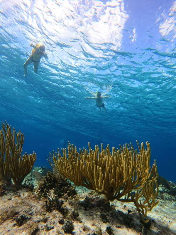 Snorkel along the coast with Chivis Del Mar. - Final Thoughts
