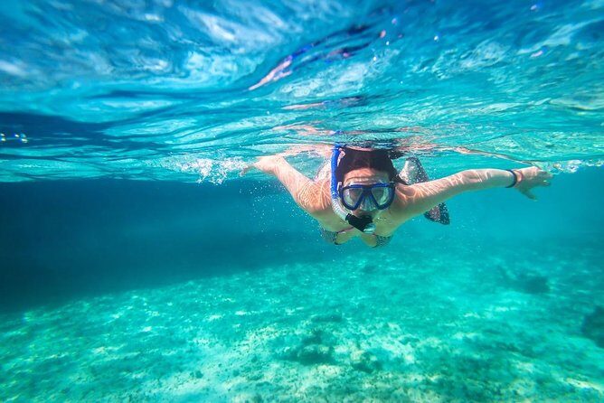 Snorkel and swim in Cozumel el Cielo Reef, Palancar and Colombia - Authentic Marine Encounters and Guide Knowledge