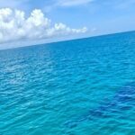 Snorkel and Swimming with Whale Shark in Cancun - What’s Included and What’s Not?