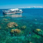 Snorkel & Dive the Reef: Sustainable, Scientific & Cultural Tour - Final Thoughts: Who Is This Tour Best For?