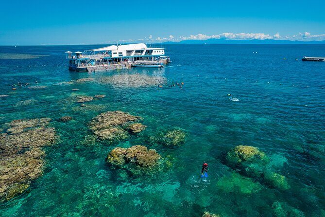 Snorkel & Dive the Reef: Sustainable, Scientific & Cultural Tour - Final Thoughts: Who Is This Tour Best For?