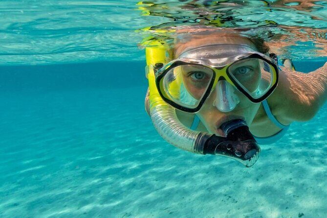 Snorkel Fort Lauderdale Jean Cousteaus Reef and Snorkel Trail - An Honest Dive into the Fort Lauderdale Snorkel Tour