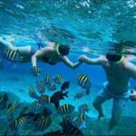 Snorkel in Cozumel and visit to El Cielo - Practical Tips for Your Snorkeling Adventure