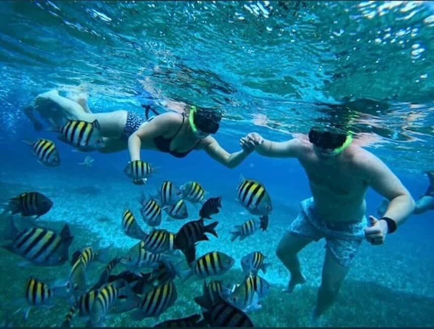 Snorkel in Cozumel and visit to El Cielo - Practical Tips for Your Snorkeling Adventure