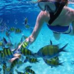 Snorkel in the turquoise Caribbean Sea in Puerto Morelos. Transport included - Who Will Appreciate This Tour?