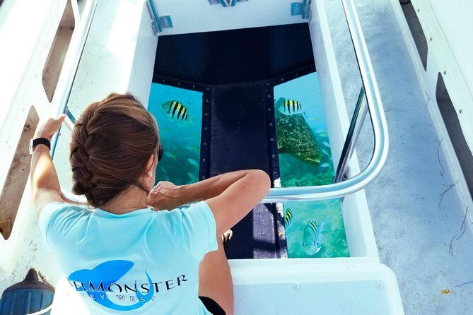 Snorkel, Sandbar & Dolphin Excursion