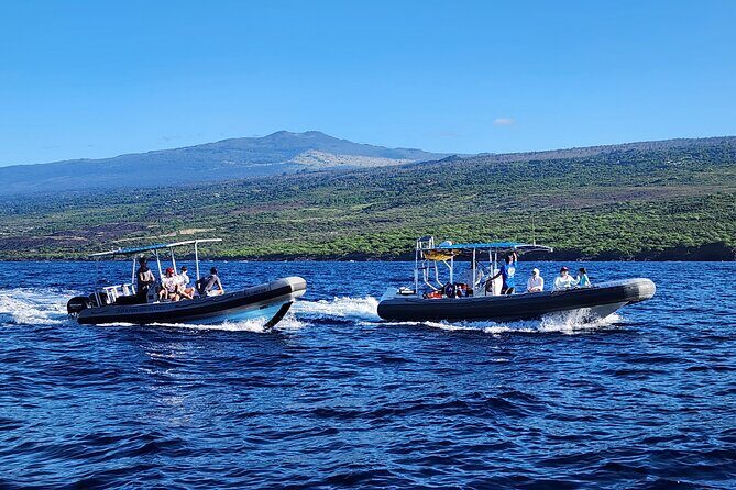 Snorkel Tour to Captain Cook Monument Kailua-Kona, Big Island - Who Should Book This Tour?