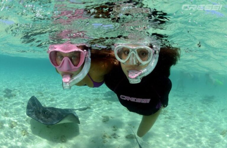 Snorkel tour Why not? - The Water and Marine Life: Why It’s Special