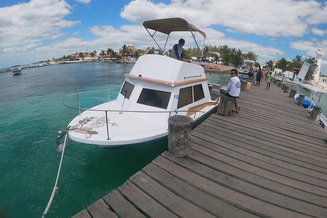 Snorkeling Adventure in Puerto Morelos Includes snack, Water and Round Trip. - Key Points